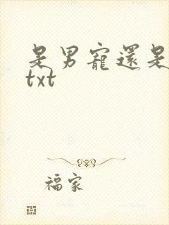 是男宠还是禁脔txt