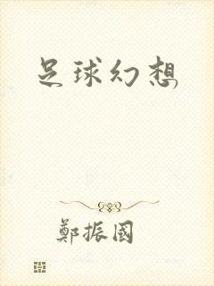 足球幻想