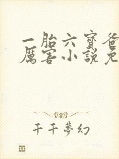 一胎六宝爸比好厉害小说免费阅读