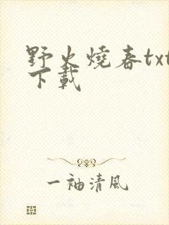 野火烧春txt下载