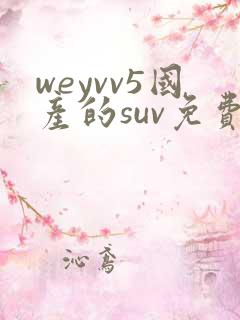 weyvv5国产的suv免费