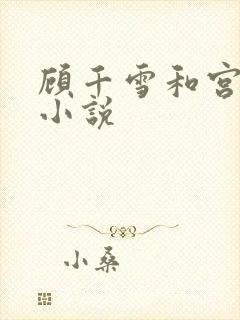顾千雪和宫凌沨小说