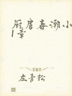 厨房春潮小说第1章