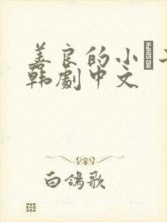 善良的小峓子2韩剧中文