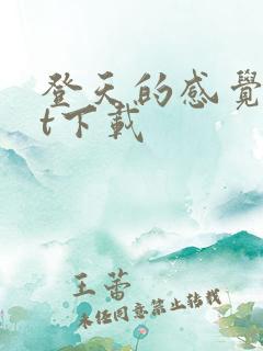 登天的感觉txt下载