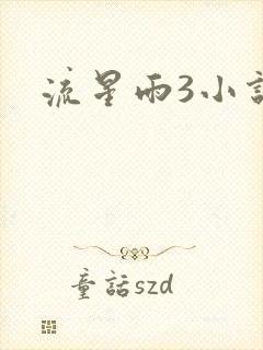 流星雨3小说
