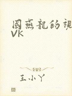 国燕龙的视频IVK