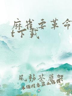 麻雀要革命txt下载