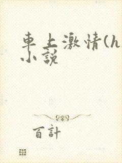 车上激情(h)小说