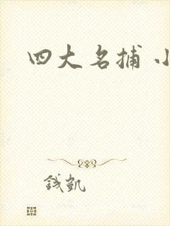 四大名捕 小说