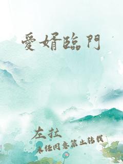 爱婿临门