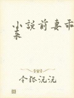 小说前妻乖乖回来