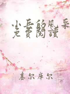 小兵的风采小说免费阅读