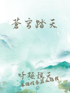 苍穹踏天