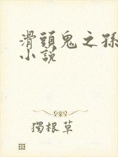 滑头鬼之孙官方小说