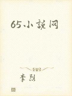 65小说网