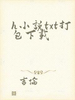 h小说txt打包下载