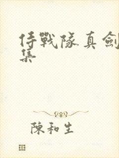 侍战队真剑者全集