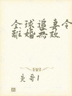 全球追妻令老婆离婚无效