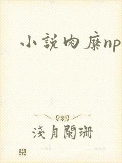 小说肉糜np