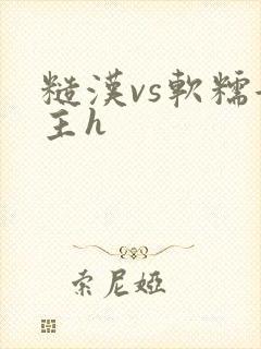 糙汉vs软糯女主h