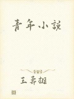 青年小说