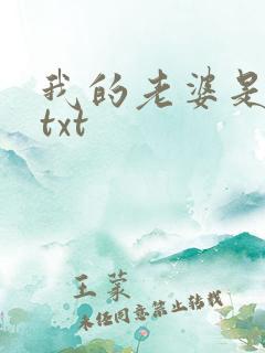 我的老婆是上司txt