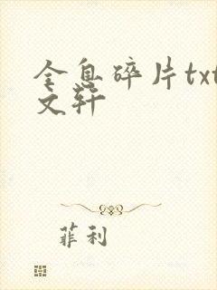 全息碎片txt文轩