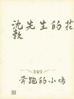 沈先生的花式调教