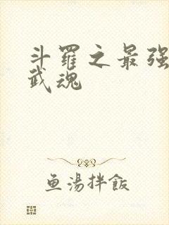 斗罗之最强治疗武魂