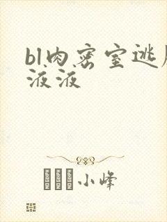 bl肉密室逃脱液液