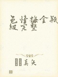 色情梅金瓶2三级完整