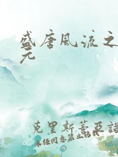 盛唐风流之武状元