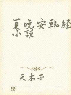 夏晚安韩经年的小说