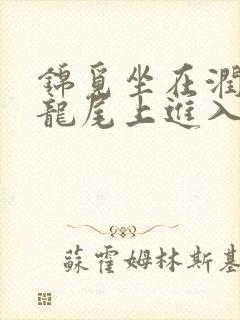 锦觅坐在润玉的龙尾上进入