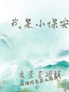 我是小保安