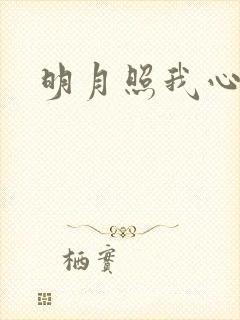 明月照我心小说