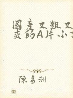 国产又粗又黄又爽的A片小说