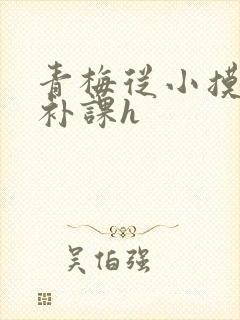青梅从小摸到大补课h