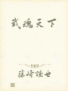 武魂天下