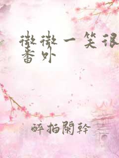 微微一笑很倾城番外