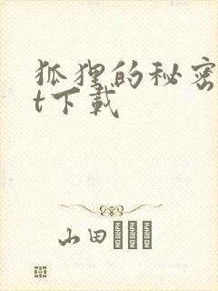 狐狸的秘密txt下载