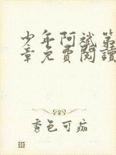 少年阿斌第13章免费阅读