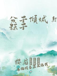 公子倾城 维和粽子