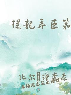 从龙弄臣第一次