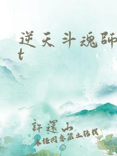 逆天斗魂师txt
