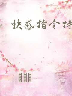 快感指令特别篇