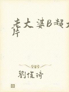 老大婆B超大图片