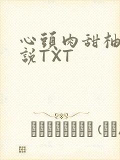 心头肉甜柚子小说TXT