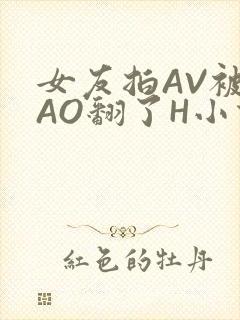 女友拍AV被CAO翻了H小说